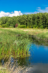 Image showing Summer landscape with river