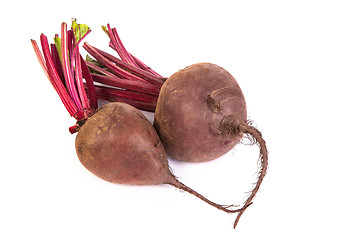 Image showing Fresh red beet isolated on  white