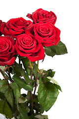 Image showing Three fresh red roses over white background