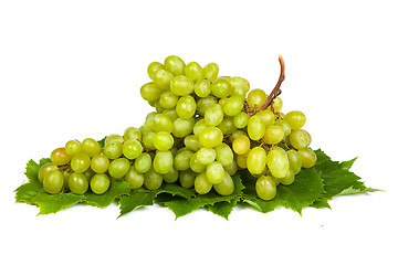 Image showing Grape