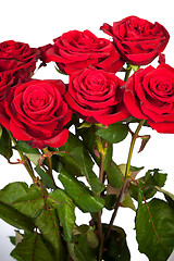 Image showing Three fresh red roses over white background