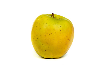 Image showing A shiny green apple isolated on white