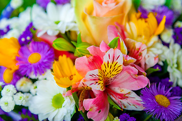 Image showing spring flowers background on white background