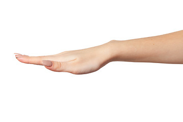 Image showing Open palm hand gesture of Female hand