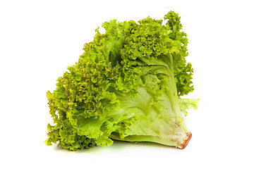 Image showing Fresh Green Lettuce isolated on white