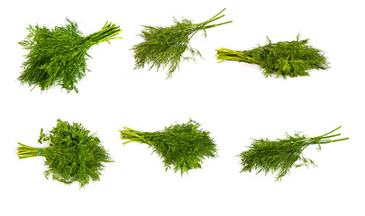 Image showing set of Fresh branches of green dill and Parsley tied isolated