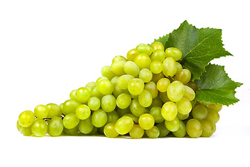 Image showing Grape