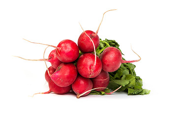 Image showing A bunch of fresh radishes isolated on white