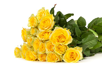 Image showing Group of fresh yellow roses