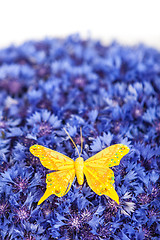 Image showing Spring blue cornflower with yellow butterfly