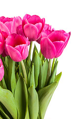 Image showing Bunch of tulips on a white