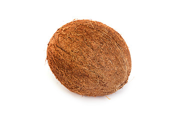 Image showing Coconut on a white background