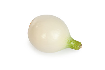 Image showing One onion, isolated on white