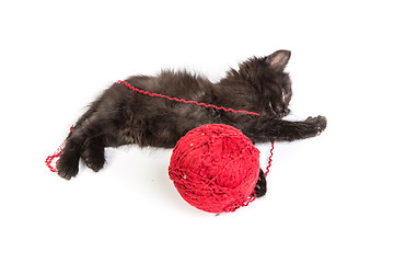 Image showing Black kitten playing with a red ball of yarn on white background