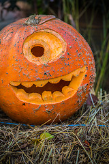 Image showing Halloween pumpkin