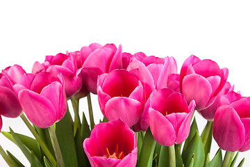 Image showing Bunch of tulips on a white