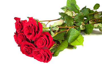 Image showing Three fresh red roses over white background