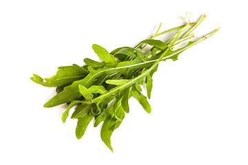 Image showing Arugula/rucola  fresh heap leaf on white