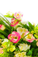 Image showing spring flowers background on white background