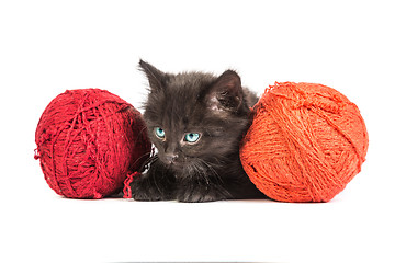 Image showing Black kitten playing with a red ball of yarn on white background