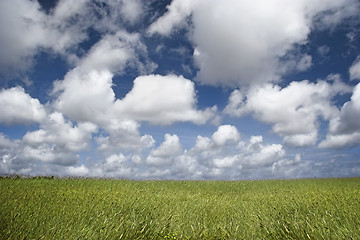 Image showing Clouds over a green landscape