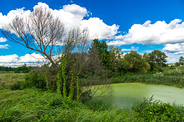 Image showing Panorama of summer morning lake