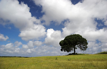 Image showing Happy tree