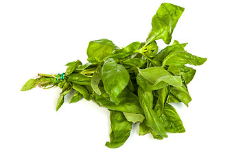 Image showing Fresh green basil leaves on white background