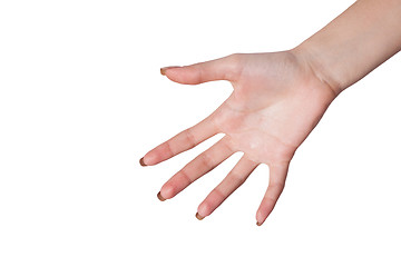 Image showing Hand gesture of Female isolated on white