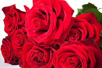 Image showing Three fresh red roses over white background