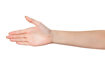 Image showing Hand a Female person who is  willing to make a deal isolated on 