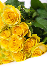 Image showing Group of fresh yellow roses