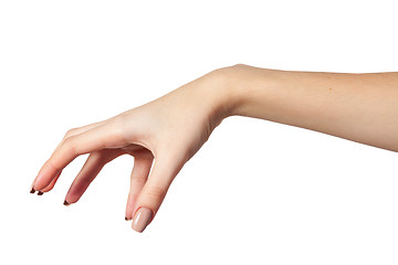 Image showing Female hand reaching for something on white