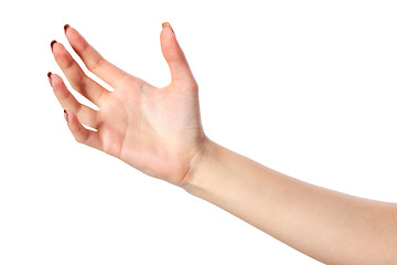 Image showing Female hand reaching for something on white