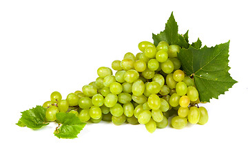 Image showing Grape