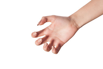 Image showing Female hand reaching for something on white