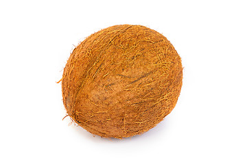 Image showing Coconut on a white background