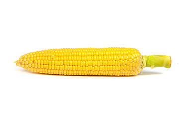 Image showing Fresh uncooked corn on the cob