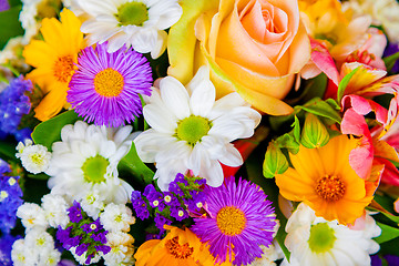 Image showing spring flowers background on white background