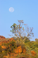 Image showing African landscape