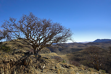 Image showing African landscape