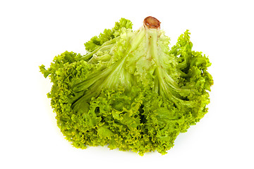 Image showing Fresh Green Lettuce isolated on white