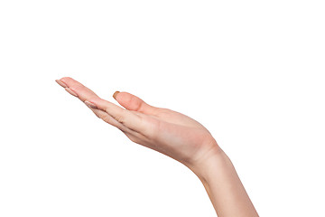 Image showing Open palm hand gesture of Female hand