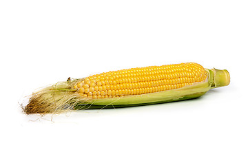 Image showing Fresh uncooked corn on the cob