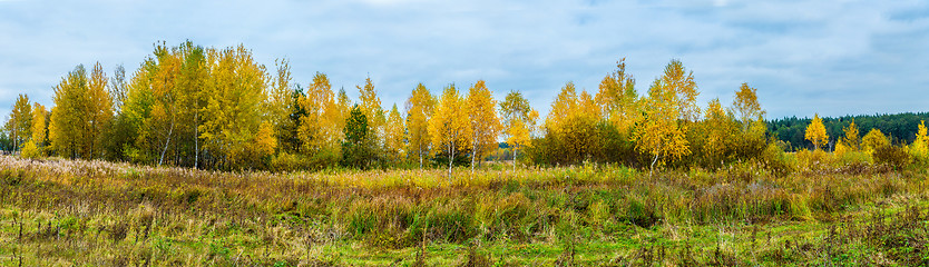Image showing Autumn forest panorama