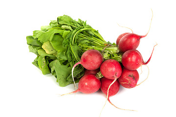 Image showing A bunch of fresh radishes isolated on white