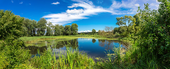 Image showing Panorama of summer morning lake