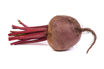 Image showing Fresh red beet isolated on  white