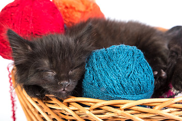 Image showing Black kitten playing with a red ball of yarn on white background