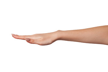 Image showing Open palm hand gesture of Female hand